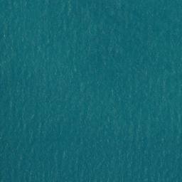 Satellite imagery of Buckland Point, AU