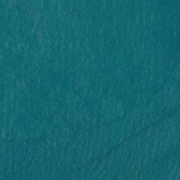 Satellite imagery of Buckland Point, AU