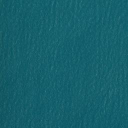 Satellite imagery of Buckland Point, AU