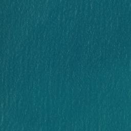 Satellite imagery of Buckland Point, AU