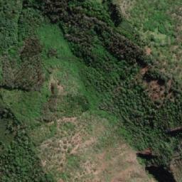 Satellite imagery of Lot, SH