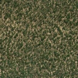 Satellite imagery of Liputa, AO