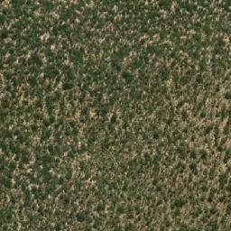 Satellite imagery of Liputa, AO