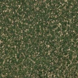 Satellite imagery of Liputa, AO