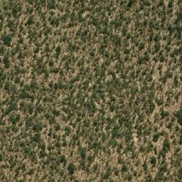 Satellite imagery of Liputa, AO