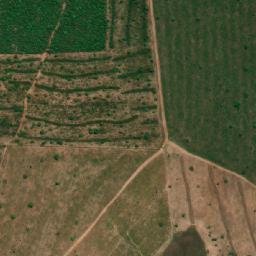 Satellite imagery of Cerro Las Petas, BO