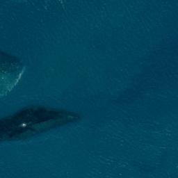 Satellite imagery of Split Rock, AU