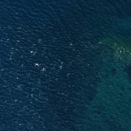 Satellite imagery of Foal Rock, AU