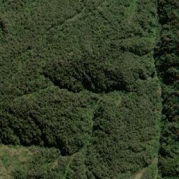 Satellite imagery of Cerro Yunga Cruz, BO