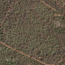 Satellite imagery of Elephant Point, AU