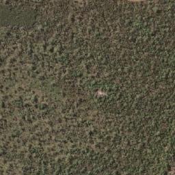 Satellite imagery of Elephant Point, AU