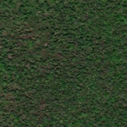 Satellite imagery of Cerro Puntudo, BO