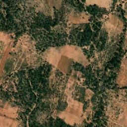 Satellite imagery of Cactus, ZW
