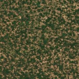 Satellite imagery of Mucucuto, AO