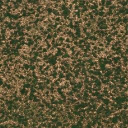 Satellite imagery of Mucucuto, AO