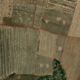Satellite imagery of Guinea Fowl, ZW