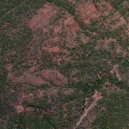 Satellite imagery of Wave Hill, AU