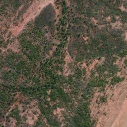 Satellite imagery of Wave Hill, AU