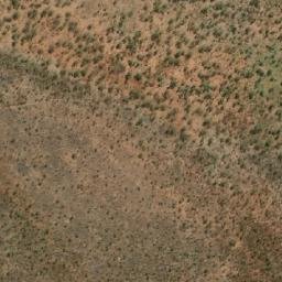 Satellite imagery of Big Tree Hill, AU
