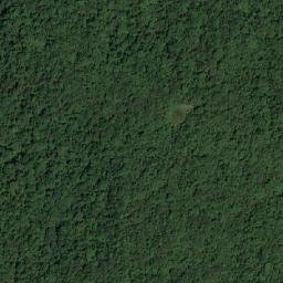 Satellite imagery of Cerro Bravo, BO