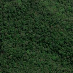 Satellite imagery of Cerro La Tambora, BO