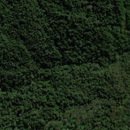 Satellite imagery of Cerro Bravo, BO