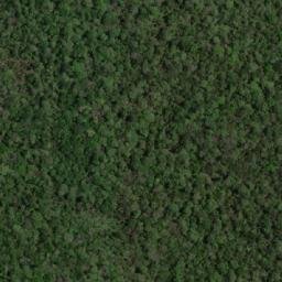 Satellite imagery of Cerro San Andrés, BO