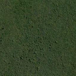 Satellite imagery of Cerro San Miguel, BO