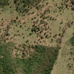 Satellite imagery of Cerro San Micerato, BO