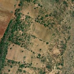Satellite imagery of Orchid, ZW