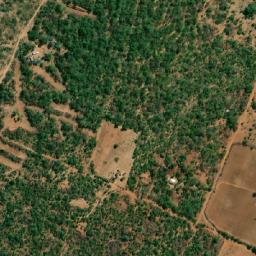 Satellite imagery of Orchid, ZW