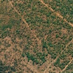 Satellite imagery of Step Lively, ZW