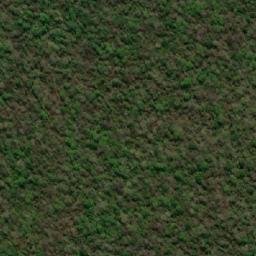 Satellite imagery of Serranía de Tapia, BO