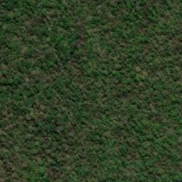 Satellite imagery of Serranía de Tapia, BO