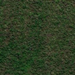 Satellite imagery of Serranía de Tapia, BO