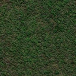 Satellite imagery of Serranía de Tapia, BO