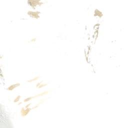 Satellite imagery of Cerro Acotango, BO