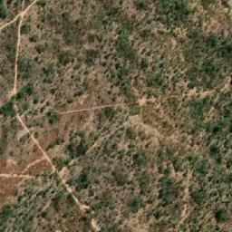 Satellite imagery of Oak, ZW