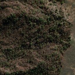 Satellite imagery of Cerro Trigal, BO