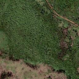 Satellite imagery of Cerro Tacuaral, BO