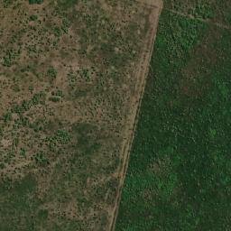 Satellite imagery of Cerro del Desengaño, BO