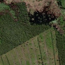 Satellite imagery of Cerro Tacuaral, BO