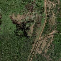 Satellite imagery of Cerro Tacuaral, BO