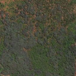 Satellite imagery of Cactus, ZW