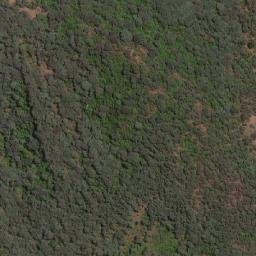 Satellite imagery of Cactus, ZW