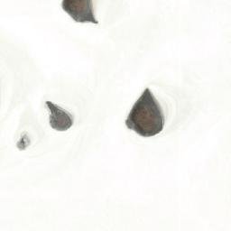 Satellite imagery of Cerro Quipjalla, BO