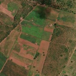 Satellite imagery of Pig, ZW