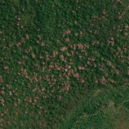 Satellite imagery of survey_point, BR