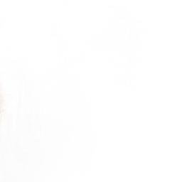 Satellite imagery of Cerro Cojiri, BO