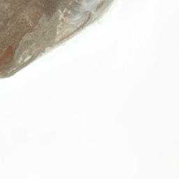 Satellite imagery of Cerro Campanani, BO